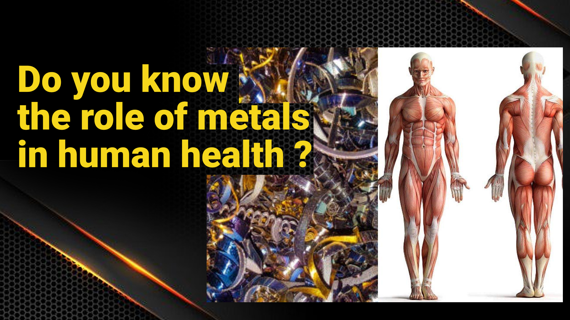 Which precious metals are essential for our health?