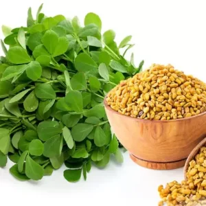 fenugreek