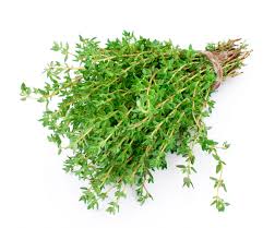 thyme