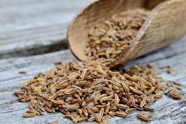 fennel seeds