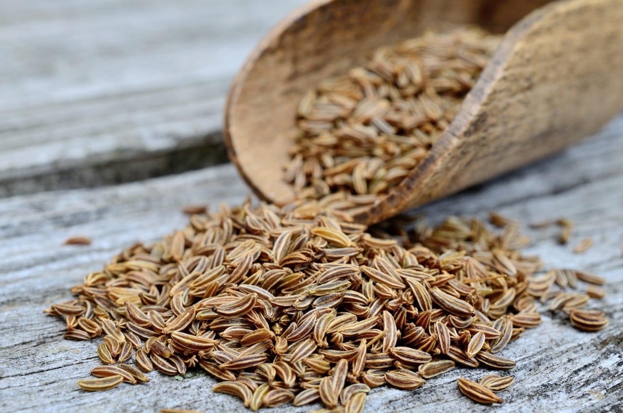 Many promising health benefits of Fennel seeds