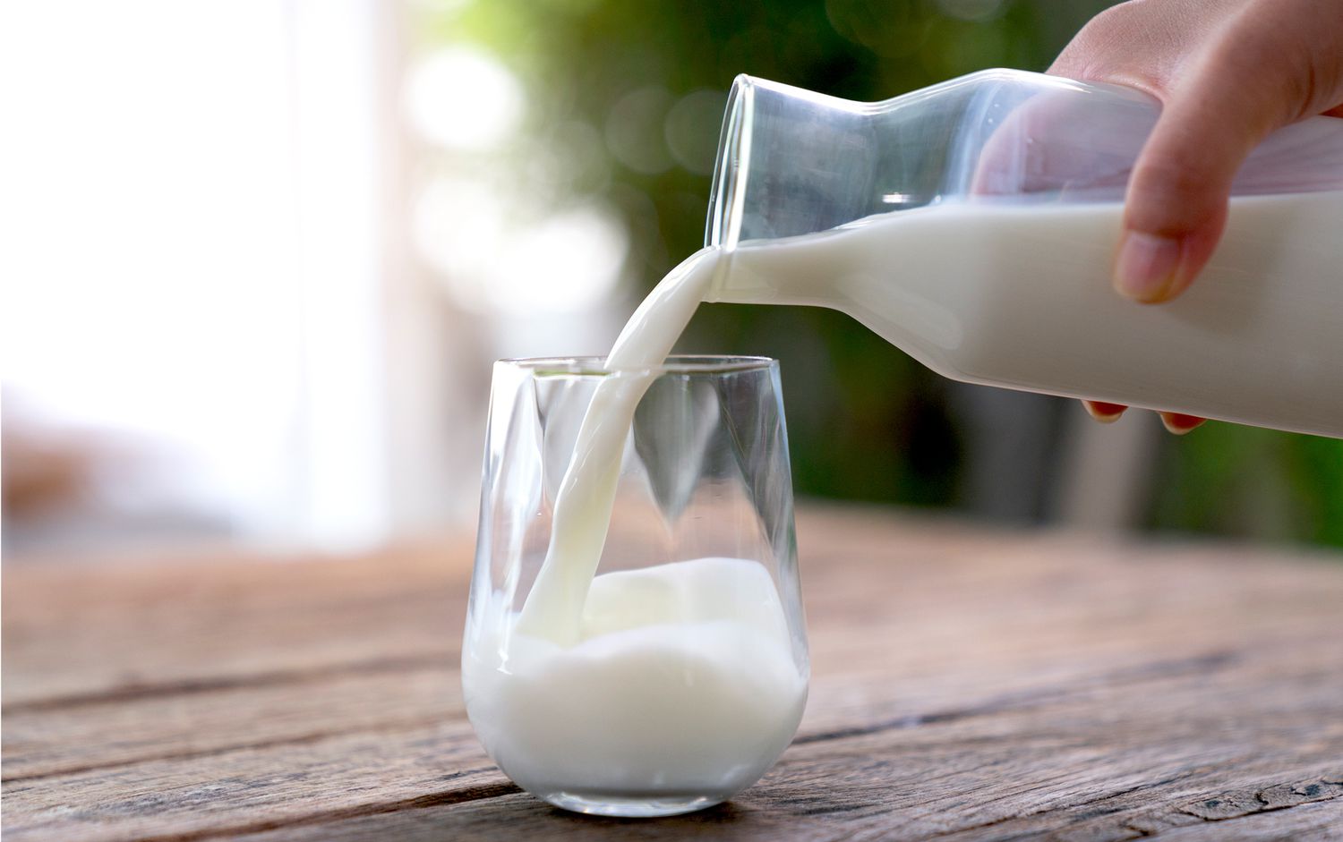 World Milk Day 2023: Know How Milk Helps Enriching Bone Health