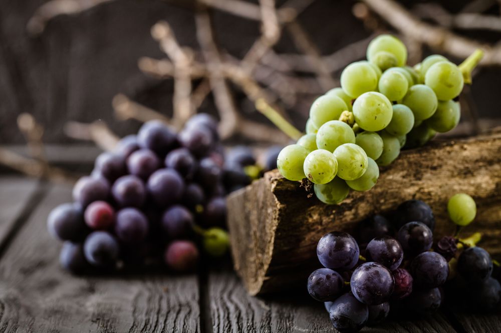 Eating grapes may keep you away from Cancer