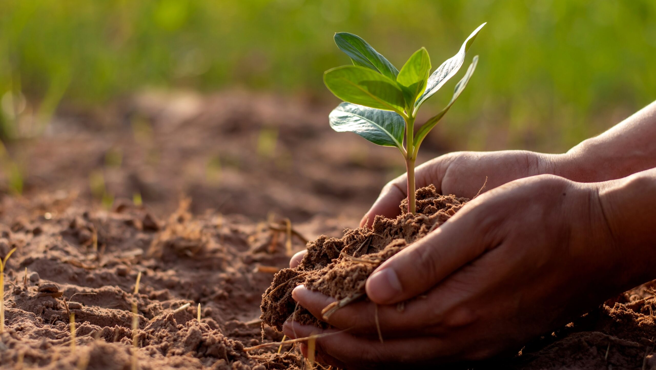 How soil health in India facing significant challenges?