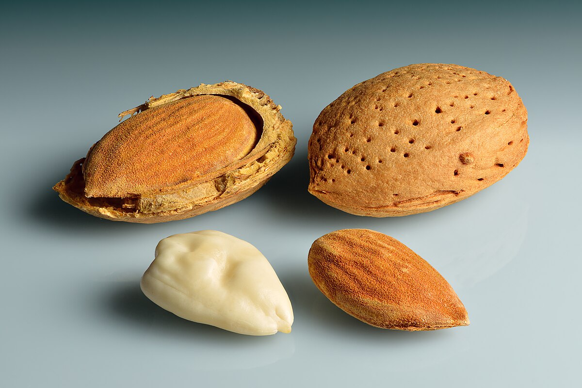 Eating 50 Almonds a Day May Cut Oxidative Stress, Protect DNA, Study Finds