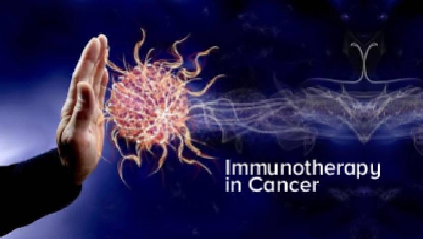  Immunotherapy 2.0: Breakthrough CAR-T Trial Targets Solid Tumors in Young Adults