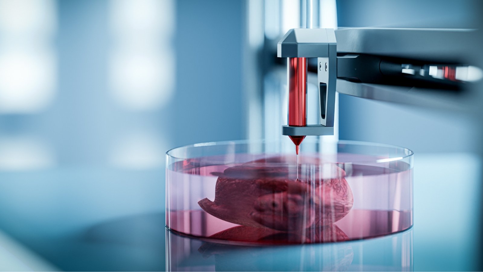 3D Bioprinting Successfully Generates Living Tissue Transplants